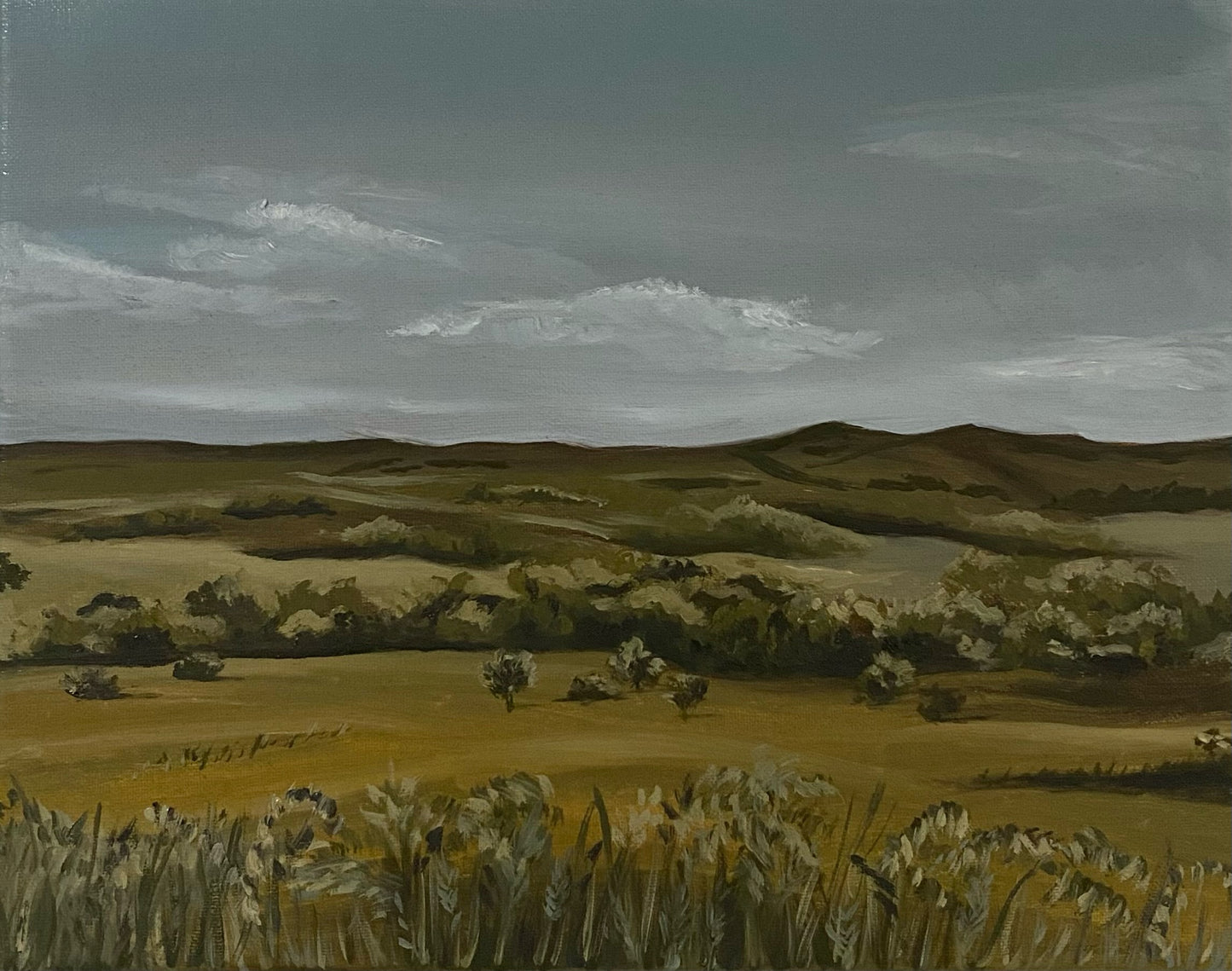 Flint Hills